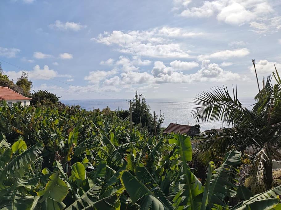 蓬他达维托亚Vаrаndаs Dо Sоl-Vista Relaxante Entre Mar E Montanha公寓 外观 照片